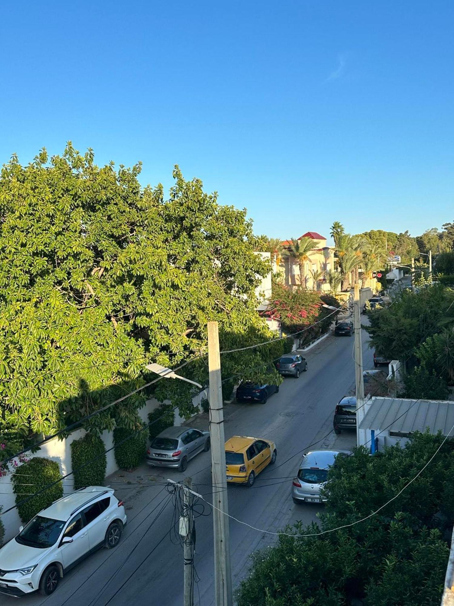 Luxeux Et Ideal A Marsa Plage Vue Sur Mer Lejlighed La Marsa Eksteriør billede